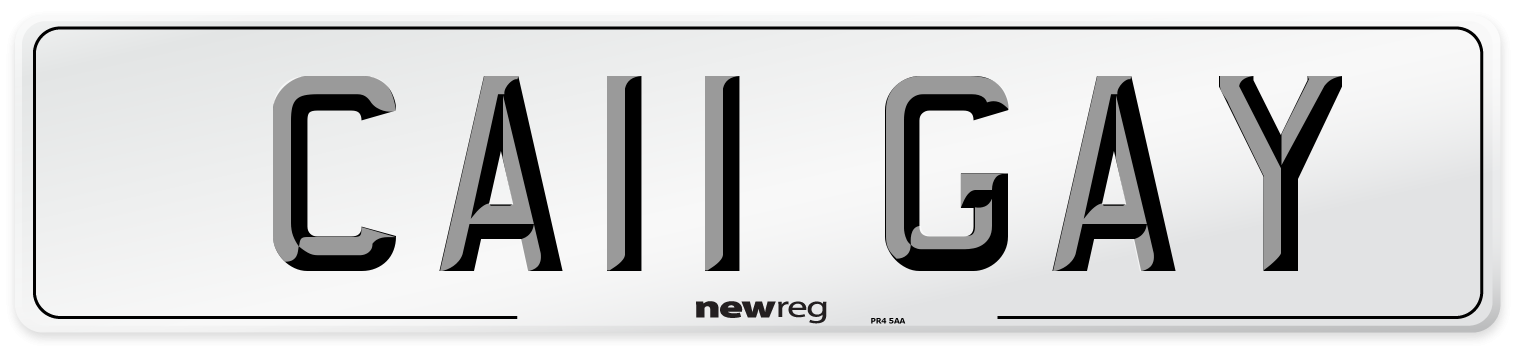 CA11 GAY Number Plate from New Reg